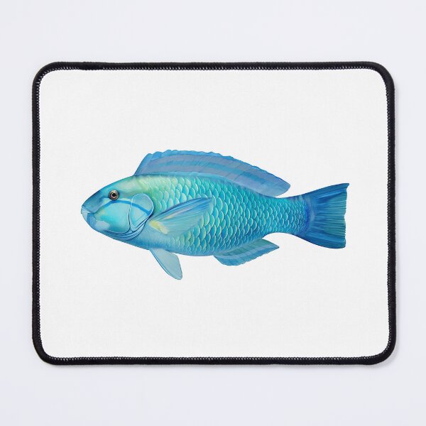 Item preview, Parrot fish have acquired their name from the two front teeth they have designed and sold by wonderisland.