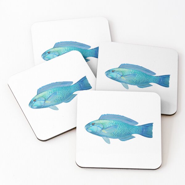 Item preview, Parrot fish have acquired their name from the two front teeth they have designed and sold by wonderisland.