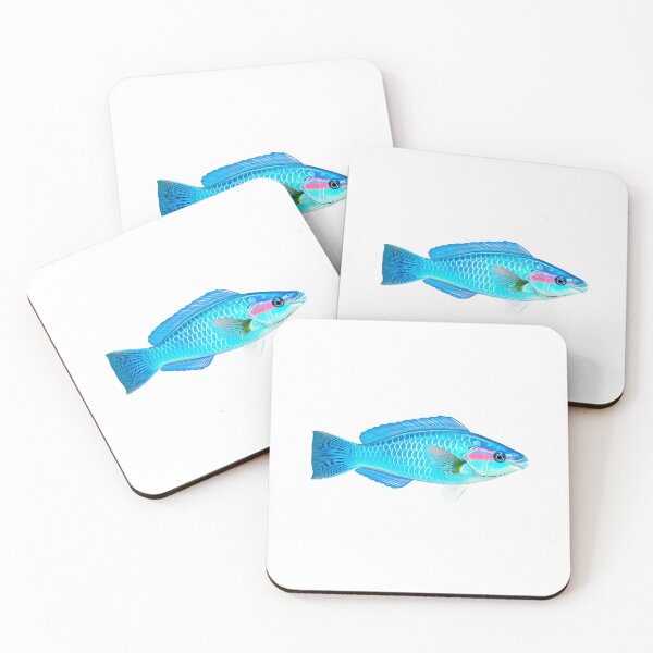 Item preview, Parrotfish are vibrant, tropical reef fish with beak-like mouths that graze on algae designed and sold by wonderisland.