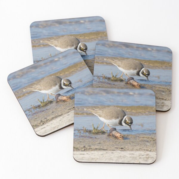 Item preview, Little Ringed Plover designed and sold by LaurenTucker.