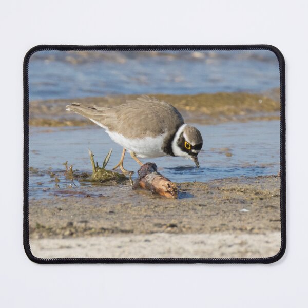 Item preview, Little Ringed Plover designed and sold by LaurenTucker.