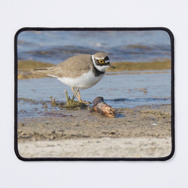 Item preview, Little Ringed Plover designed and sold by LaurenTucker.