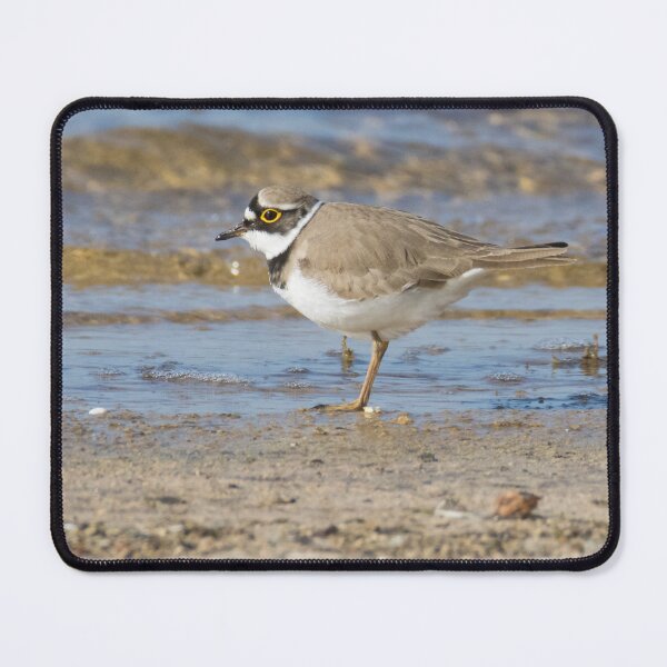 Item preview, Little Ringed Plover designed and sold by LaurenTucker.