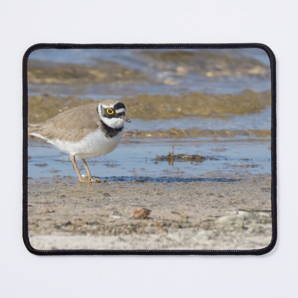 Item preview, Little Ringed Plover designed and sold by LaurenTucker.