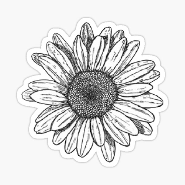 black and white sunflower Sticker.