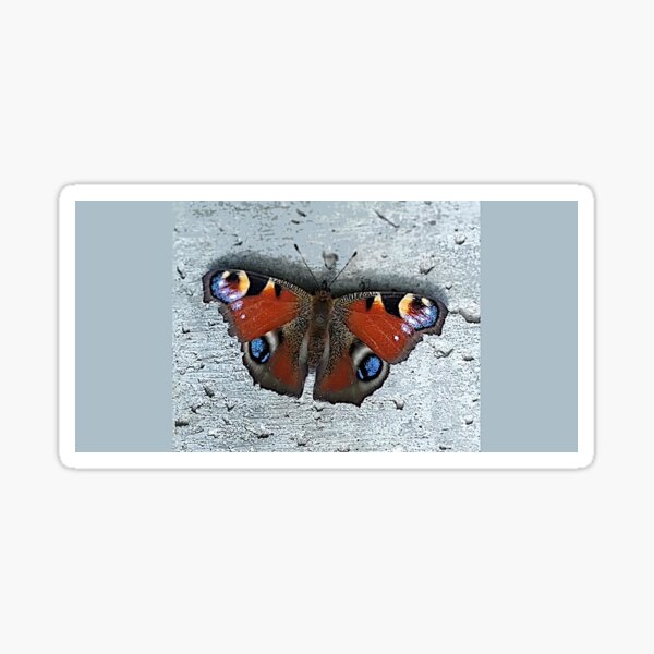 Item preview, Butterfly designed and sold by Si-Dwayz.