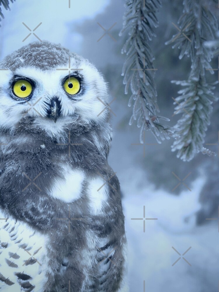 Snowy Owl Forest Bird Yellow Eyes Photo-realistic Wildlife Print by thespottydogg