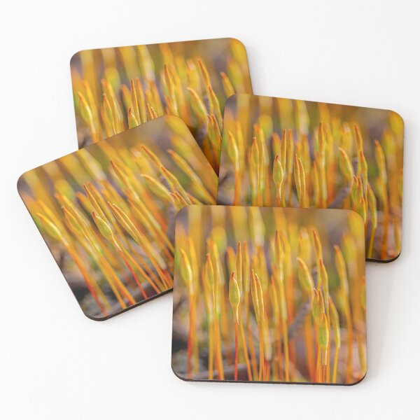 Item preview, April, spring time designed and sold by Veikko  Suikkanen.