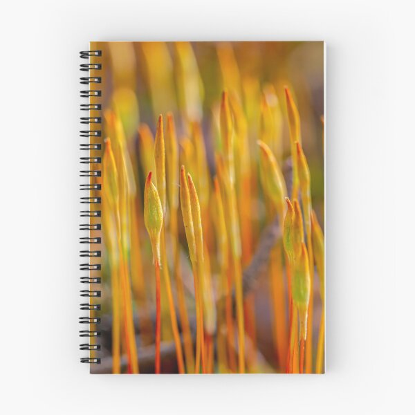Item preview, April, spring time designed and sold by Veikko  Suikkanen.