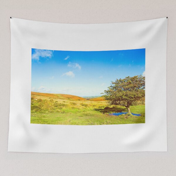 Item preview, Solitary tree on Dartmoor National Park in Summer designed and sold by NJCArtPhoto.