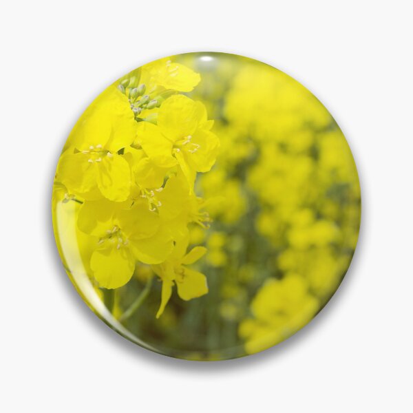 Item preview, Bed of Rapeseed Flowers in Full Spring Bloom designed and sold by NJCArtPhoto.