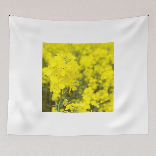 Item preview, Bed of Rapeseed Flowers in Full Spring Bloom designed and sold by NJCArtPhoto.