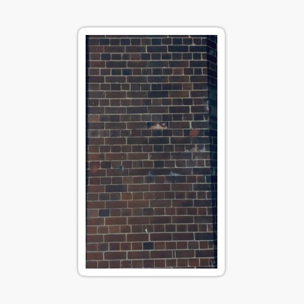Item preview, Eyes on brickwork design designed and sold by MarlonEdmondson.