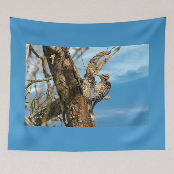 Item preview, Woodpecker Drumming designed and sold by Debra Martz.