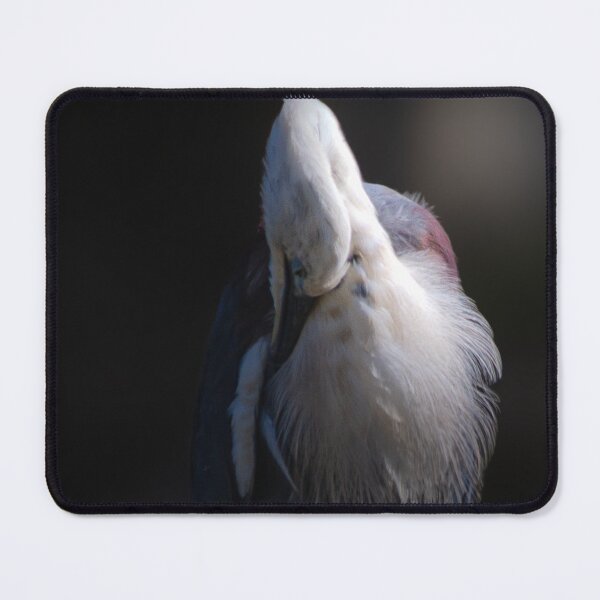 Item preview, White Necked Heron designed and sold by DeborahMcGrath.