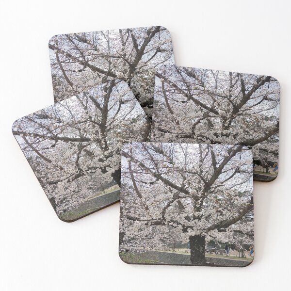 Item preview, Cherry Blossoms in Japan designed and sold by pinkish-petals.