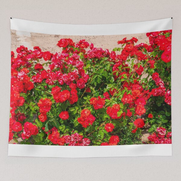 Item preview, Colourful Red Roses and Green Leaves Beautiful Flowers Cheerful designed and sold by acceleratorhams.