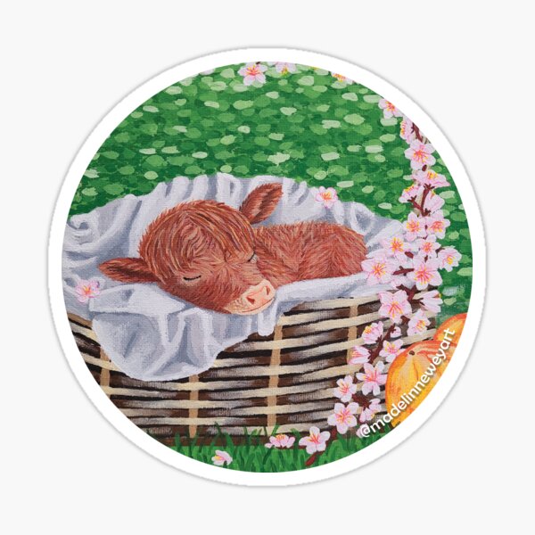 Artikel-Vorschau von Hochlandkalb Sticker, designt und verkauft von MadelinNeweyArt.