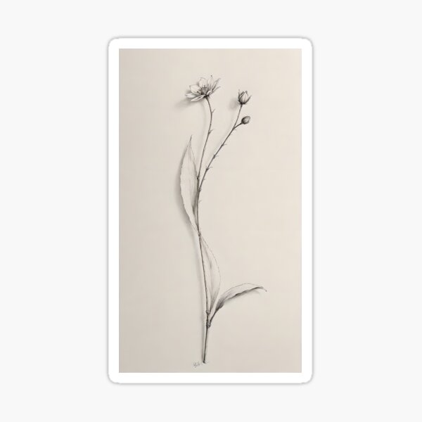 Vista previa del artículo con la obra «Boceto floral de línea fina», diseñado y vendido por Minimalistic Heaven.