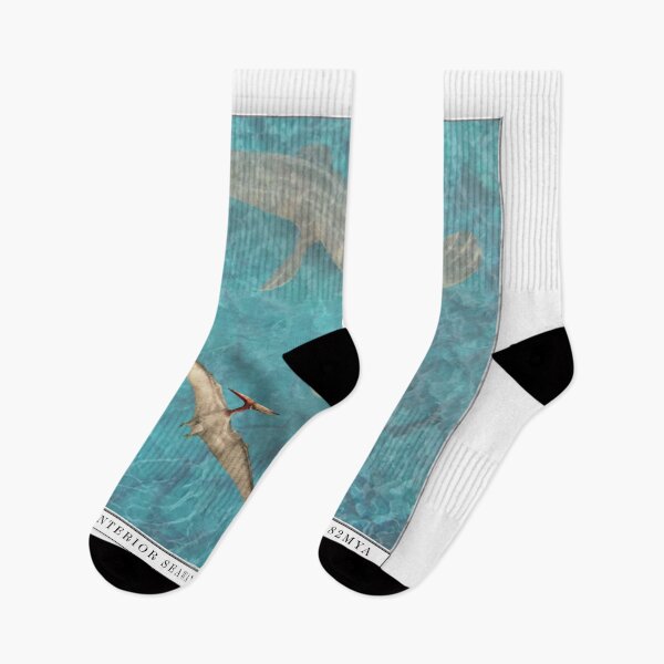 Item preview, Western Interior Seaway Fossil Museum style graphic Pteranodon and Mosasaur 90s 2000s style  designed and sold by The Paleo shop ..