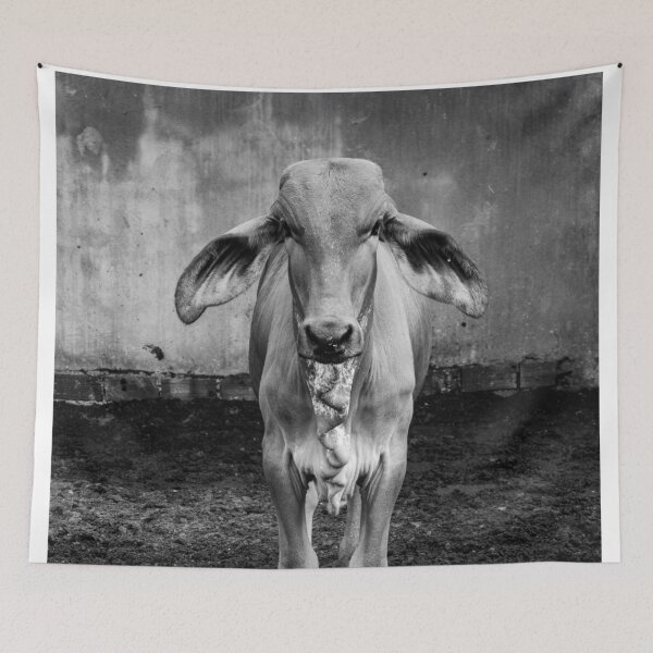 Item preview, calf with big ears, black and white designed and sold by felipequeiroz.