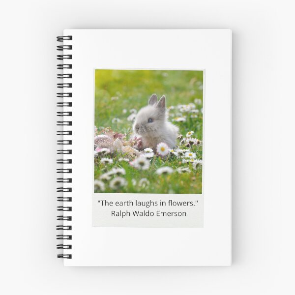 Item preview, Cute rabbit among a green meadow with flowers and aesthetic phrase designed and sold by ElizabethCoelho.