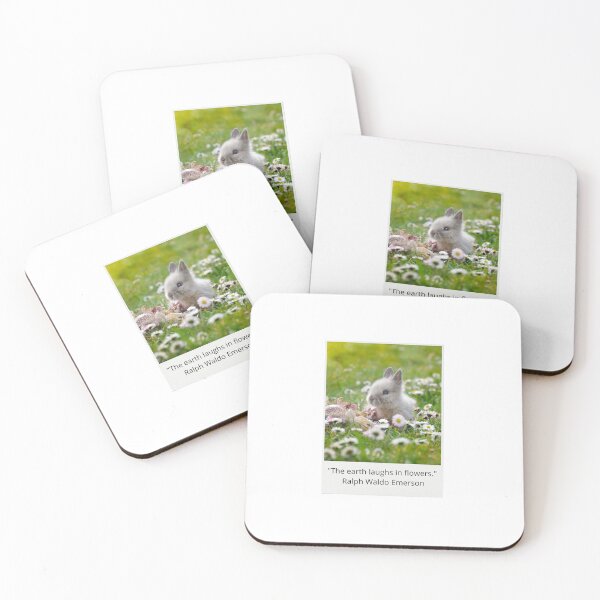 Item preview, Cute rabbit among a green meadow with flowers and aesthetic phrase designed and sold by ElizabethCoelho.
