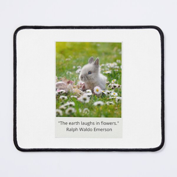Item preview, Cute rabbit among a green meadow with flowers and aesthetic phrase designed and sold by ElizabethCoelho.