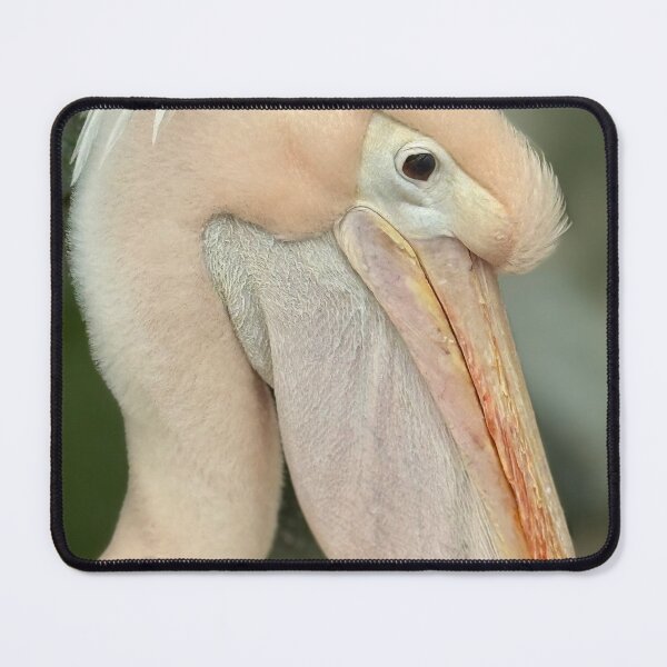 Item preview, The Perfect Pelican designed and sold by Shelly Straub.