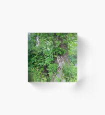 Quietly Quirky Acrylic Block