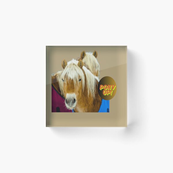Item preview, Pony Up! designed and sold by Been2Canaan.