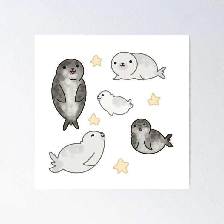 Cute Seals Sticker