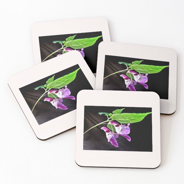 Item preview, Impatiens Psittacina parrot flower designed and sold by Helios Be. Lavsh.