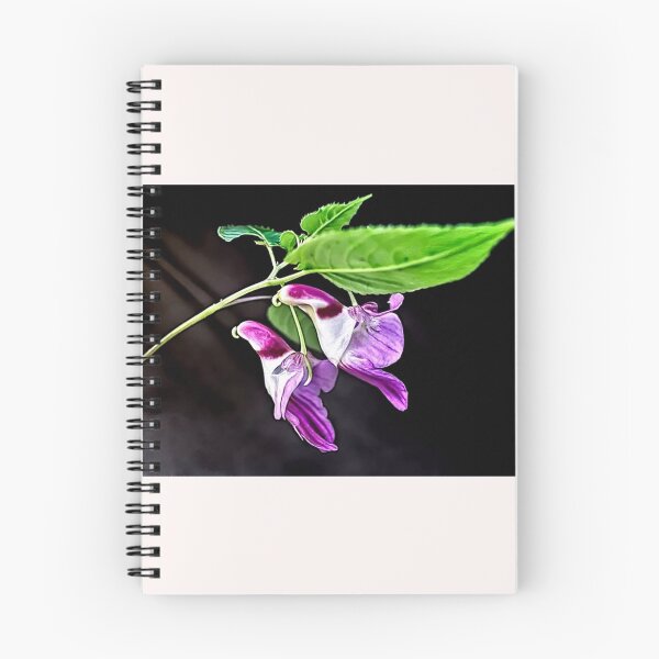 Item preview, Impatiens Psittacina parrot flower designed and sold by Helios Be. Lavsh.