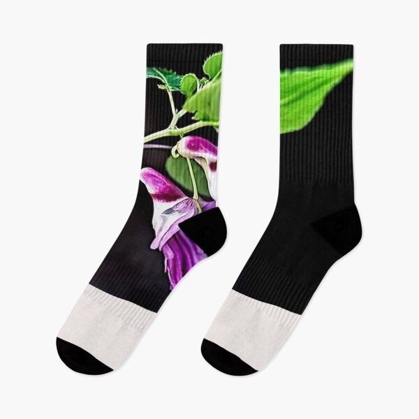 Item preview, Impatiens Psittacina parrot flower designed and sold by Helios Be. Lavsh.