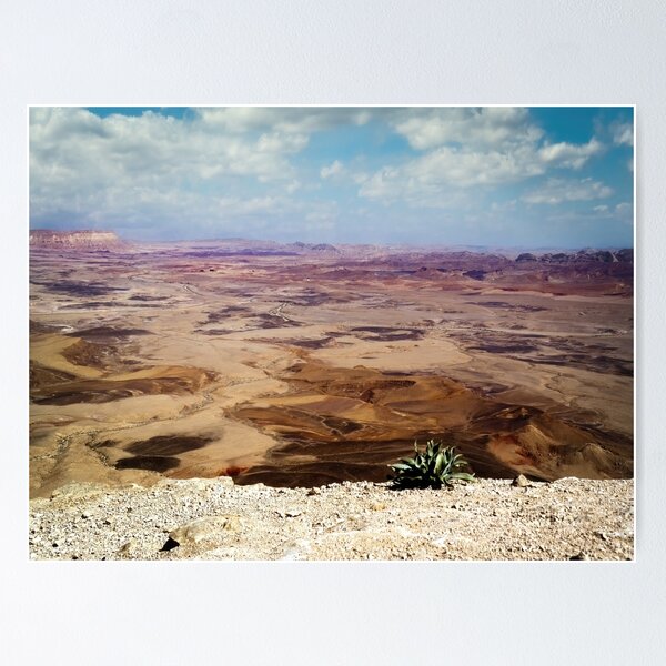 Item preview, Israel, Mitzpe Ramon. Plant at Ramon Crater. designed and sold by UltraQuirky.