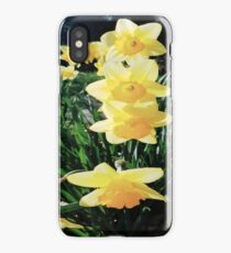 Daffodil Pillar iPhone Case