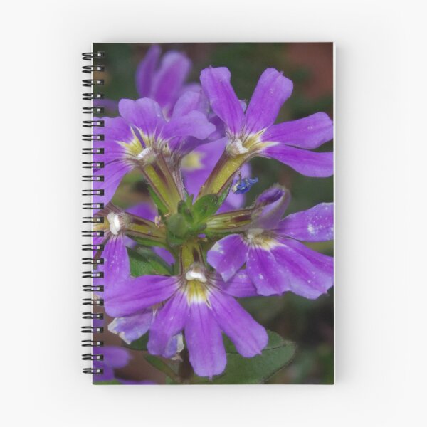Item preview, Purple Scaevola flower group Leith Park  20180417 2492  designed and sold by Fred Mitchell.