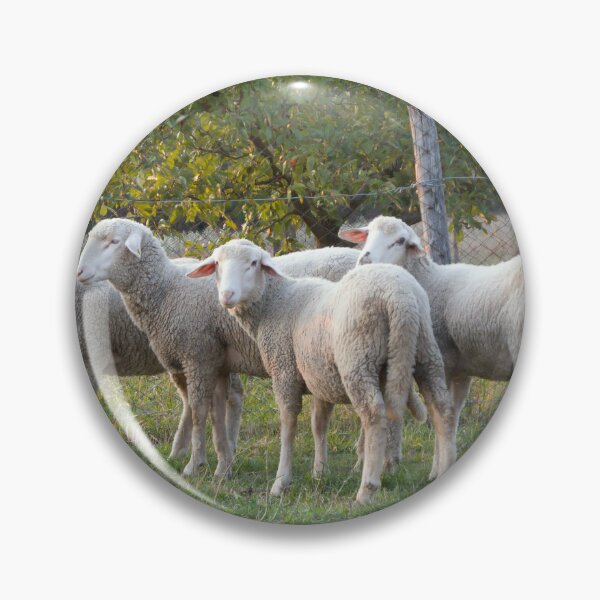 Item preview, Four sheep designed and sold by Parafull.