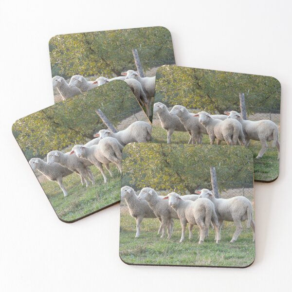 Item preview, Four sheep designed and sold by Parafull.
