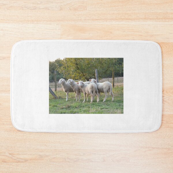 Item preview, Four sheep designed and sold by Parafull.