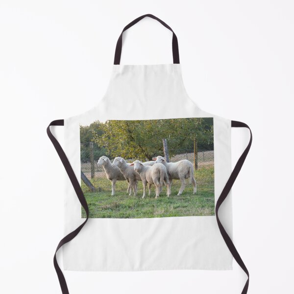 Item preview, Four sheep designed and sold by Parafull.