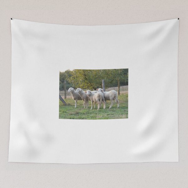 Item preview, Four sheep designed and sold by Parafull.