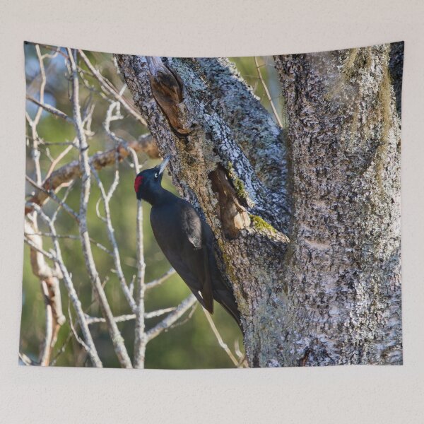 Item preview, Hit hard. Black woodpecker designed and sold by Jouko Lehto Photography.