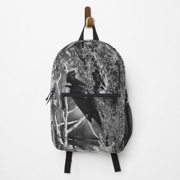 Item preview, Hit hard. Black woodpecker bw designed and sold by Jouko Lehto Photography.