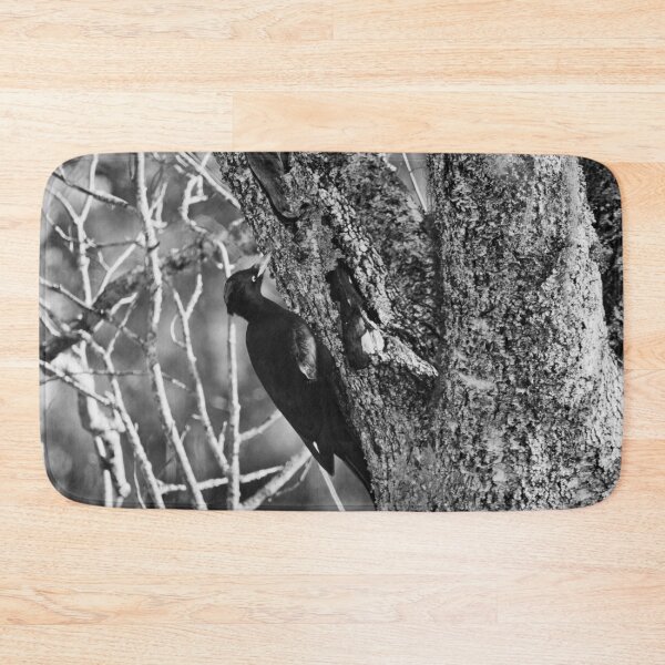 Item preview, Hit hard. Black woodpecker bw designed and sold by Jouko Lehto Photography.