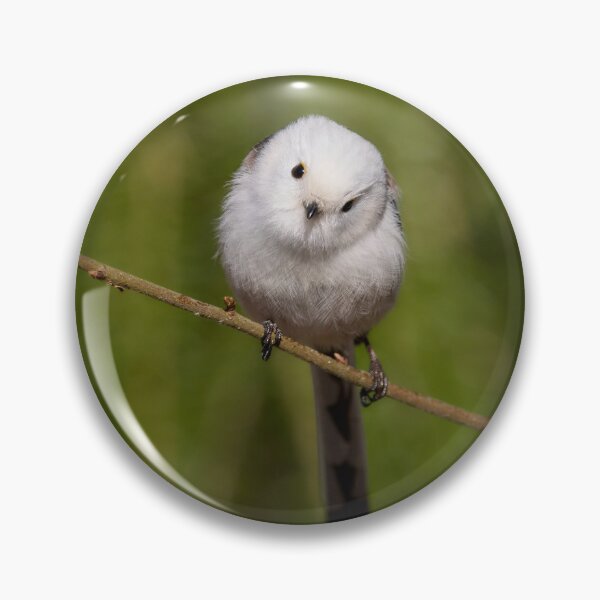 Item preview, Giving the look. Long-tailed tit. Green series 1 designed and sold by Jouko Lehto Photography.