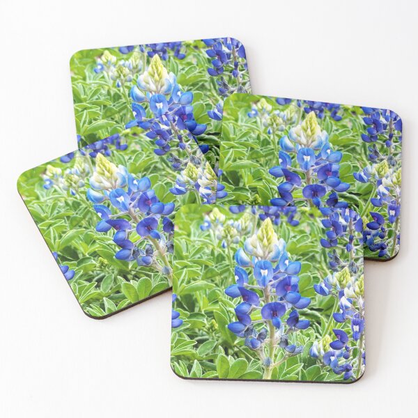 Item preview, Bluebonnet on a week day designed and sold by Kuetspal-Lin.