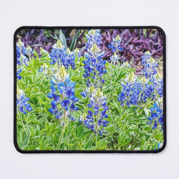 Item preview, Blue wildflower designed and sold by Kuetspal-Lin.