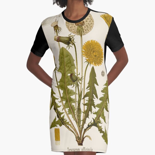 Artikel-Vorschau von Löwenzahn - Vintage botanische Illustration , designt und verkauft von FLIP-original.